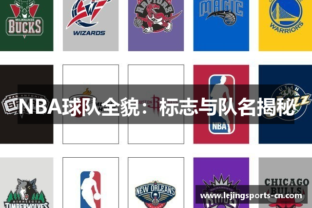 NBA球队全貌：标志与队名揭秘