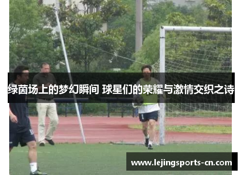绿茵场上的梦幻瞬间 球星们的荣耀与激情交织之诗