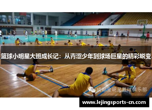 篮球小明星大班成长记：从青涩少年到球场巨星的精彩蜕变